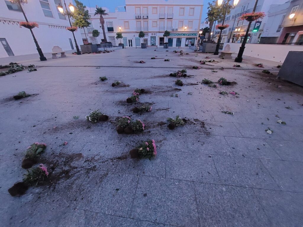 Actos-vandálicos-esta-madrugada-en-los-maceteros-de-la-Plaza-Mayor