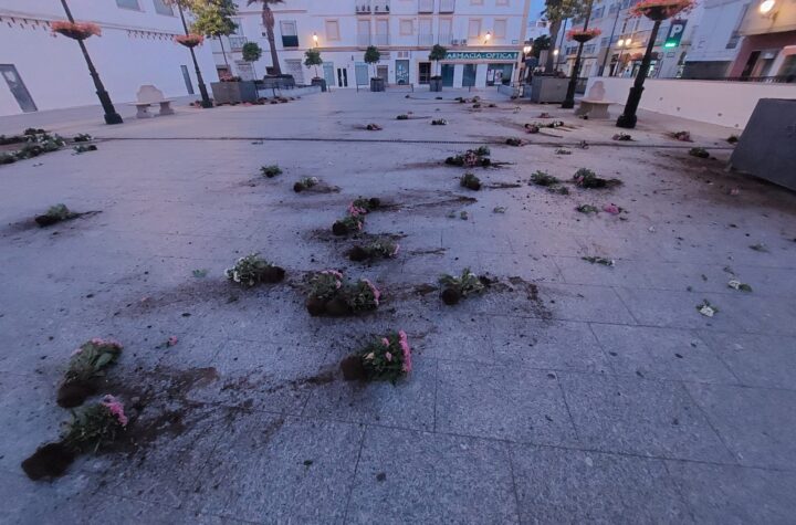 Actos-vandálicos-esta-madrugada-en-los-maceteros-de-la-Plaza-Mayor