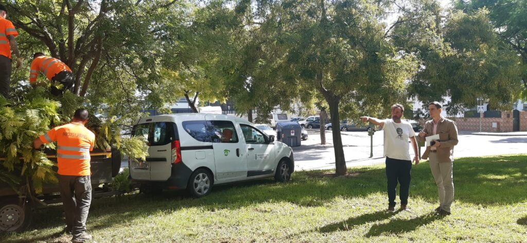 En-Jerez-continúan-con-la-recuperación-en-la-ciudad-tras-lo- efectos-de-la-borrasca-‘Aline’