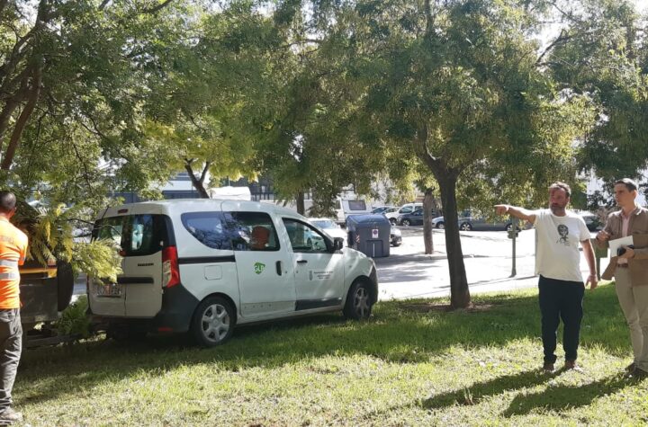 En-Jerez-continúan-con-la-recuperación-en-la-ciudad-tras-lo- efectos-de-la-borrasca-‘Aline’