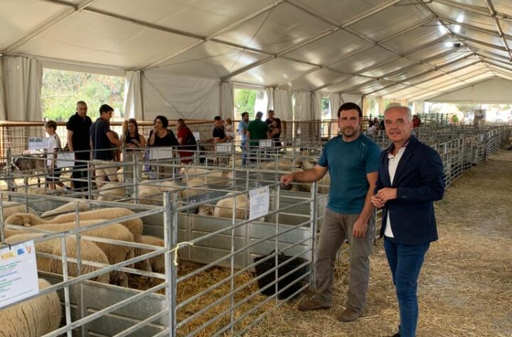 El-PSOE-apoya-al-sector-del-ganado-visitando-la-Feria-que-se-está-celebrando-en-Benaocaz