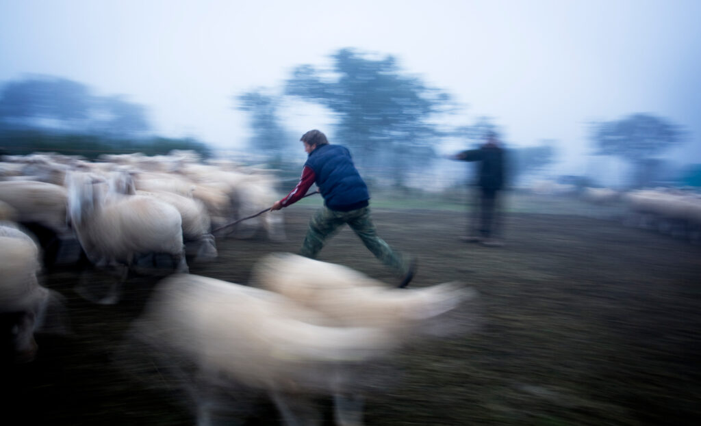 “El gancho”,-ganadora-del-V-Concurso-Fotográfico-Medio-Rural-y-Pesquero-en-Andalucía