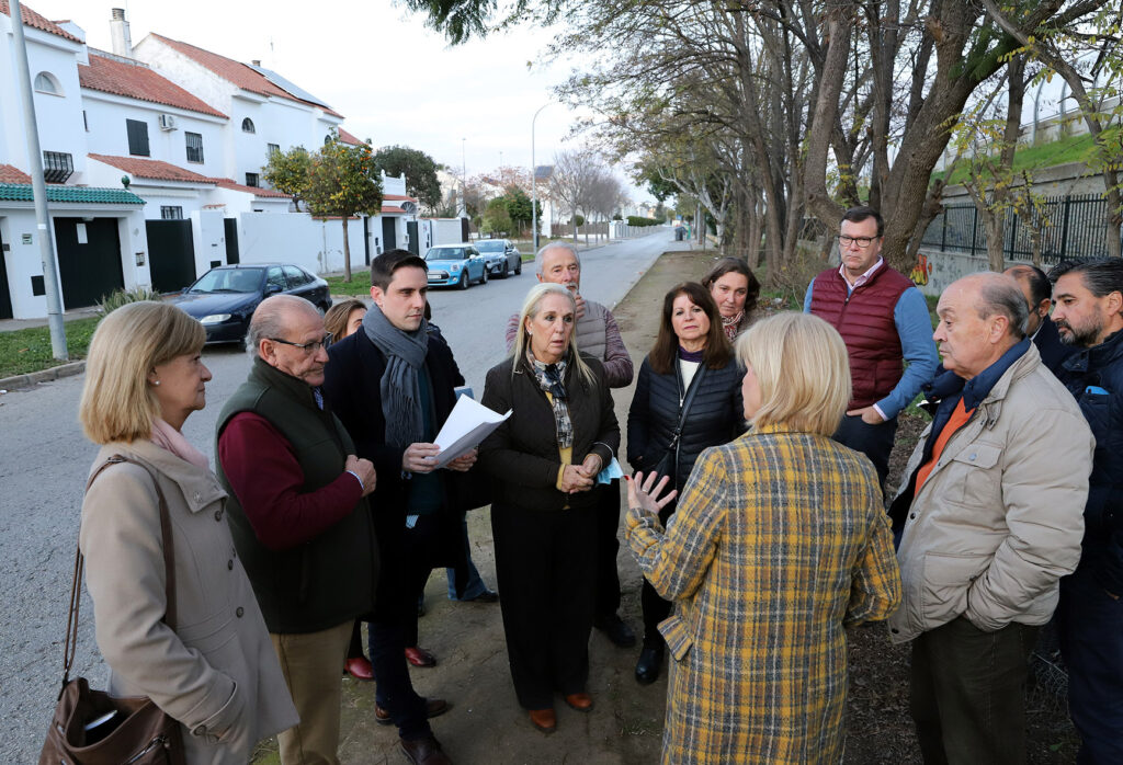 La-alcaldesa-de-Jerez-supervisa-las-actuaciones-que-está-realizando-el-Ayuntamiento-en-Jacaranda