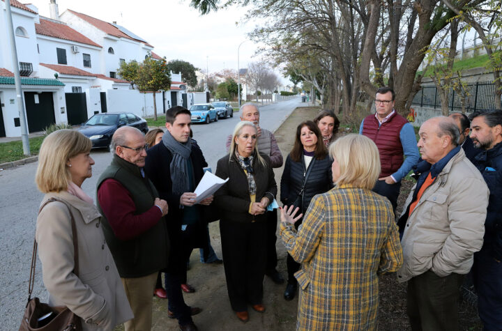 La-alcaldesa-de-Jerez-supervisa-las-actuaciones-que-está-realizando-el-Ayuntamiento-en-Jacaranda