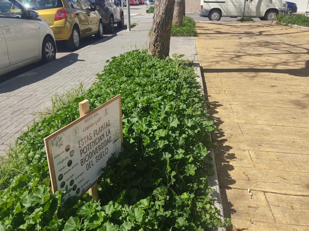 El-Ayuntamiento-de-Puerto-Real-impulsa-el-proyecto-‘Praderas-Naturales’