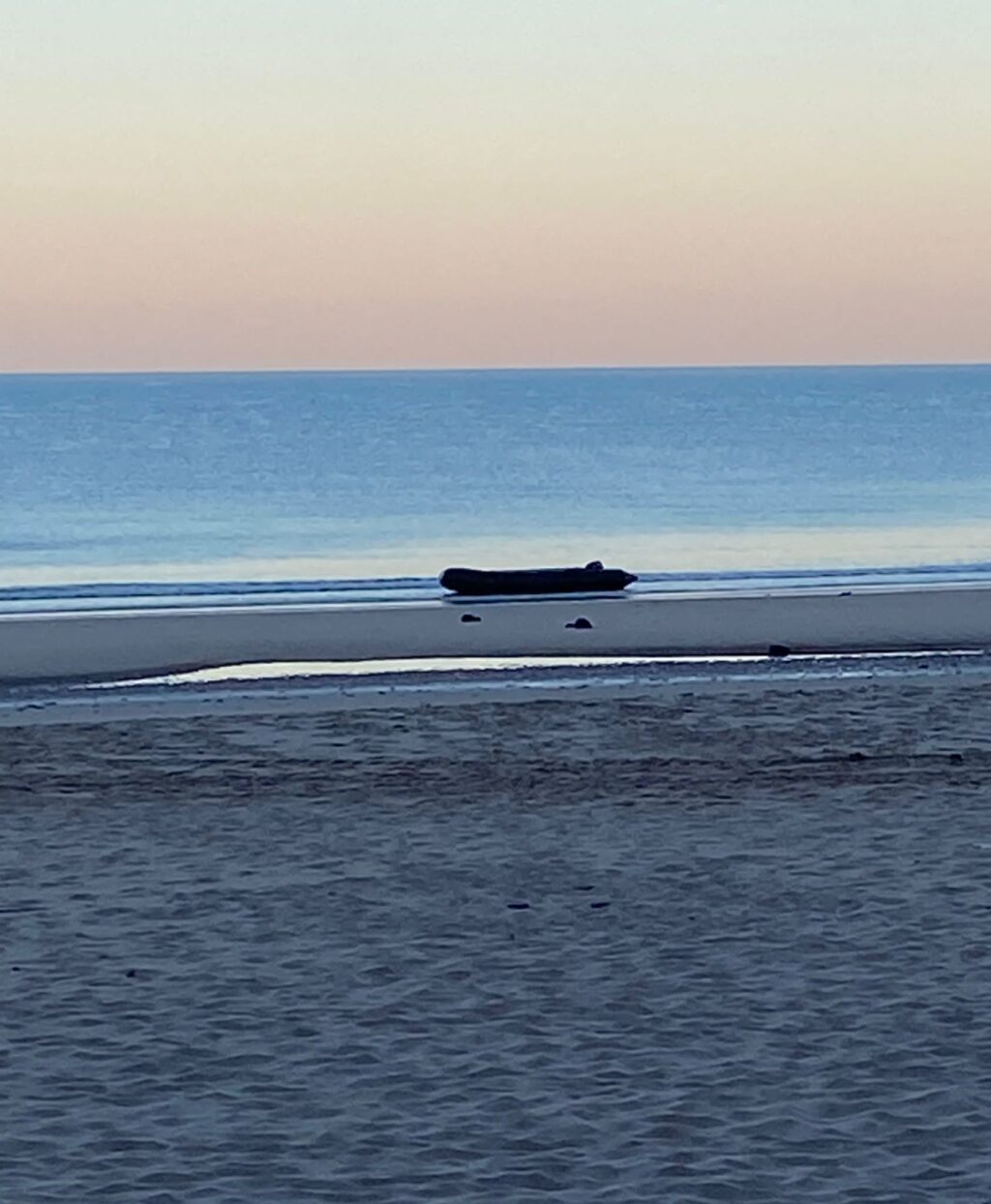 La-Policía-local-intercepta-una-patera-con-15-personas-en-la-playa-Victoria