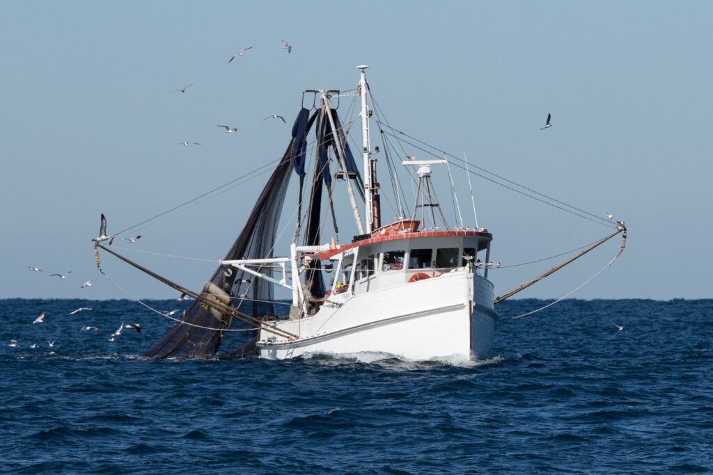 pesca-cerco-golfo-cádiz