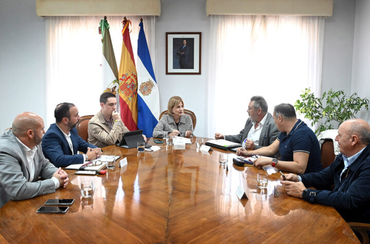 jerez-procesión-magna-mariana-transporte